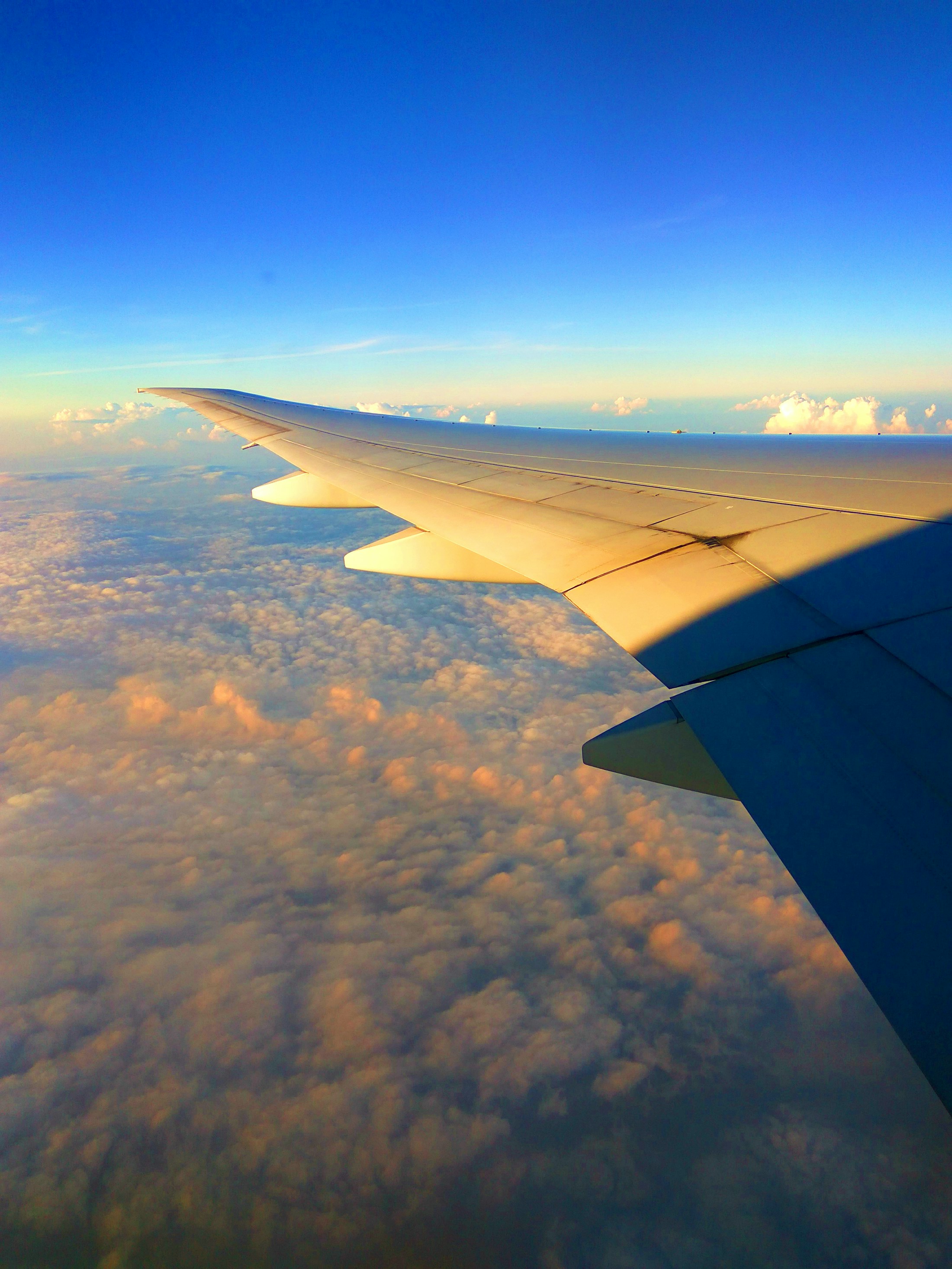 Airplane wing above clouds during golden hour